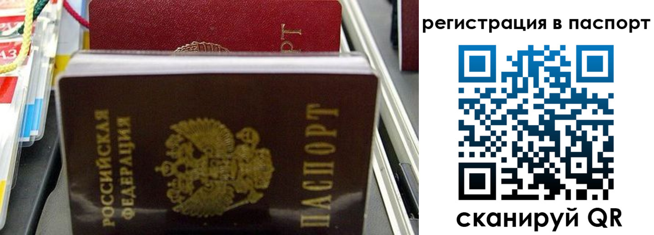 прописка для школы в Ненецком АО